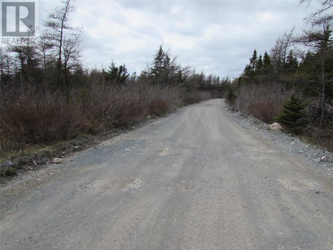 45 New Line Road, Home with 0 bedrooms, 0 bathrooms and null parking in Colliers NL | Image 18