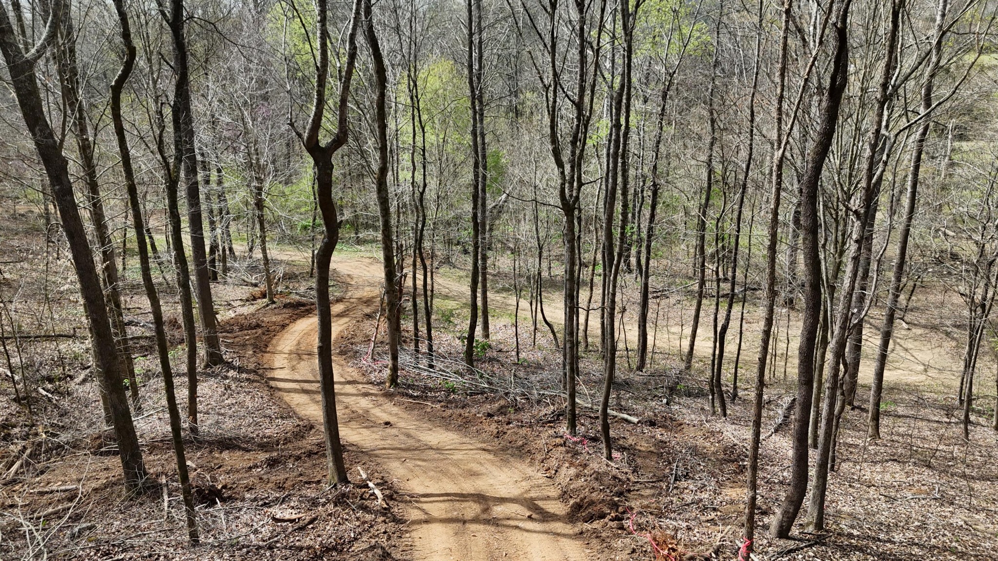 Land in Decatur 5