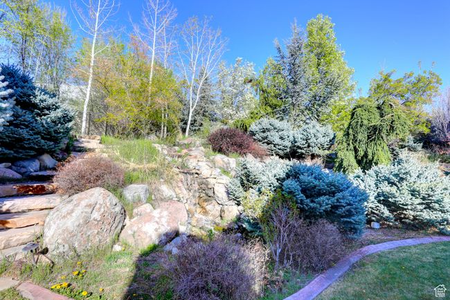 View of landscape | Image 52