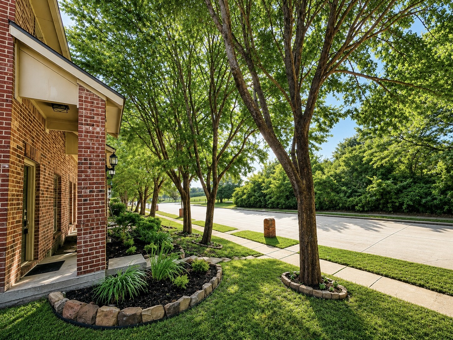 Residential in Wylie 2