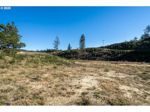 300 Roaring Tide-Lot 3 Loop, Oceanside, OR, 97134 | Card Image