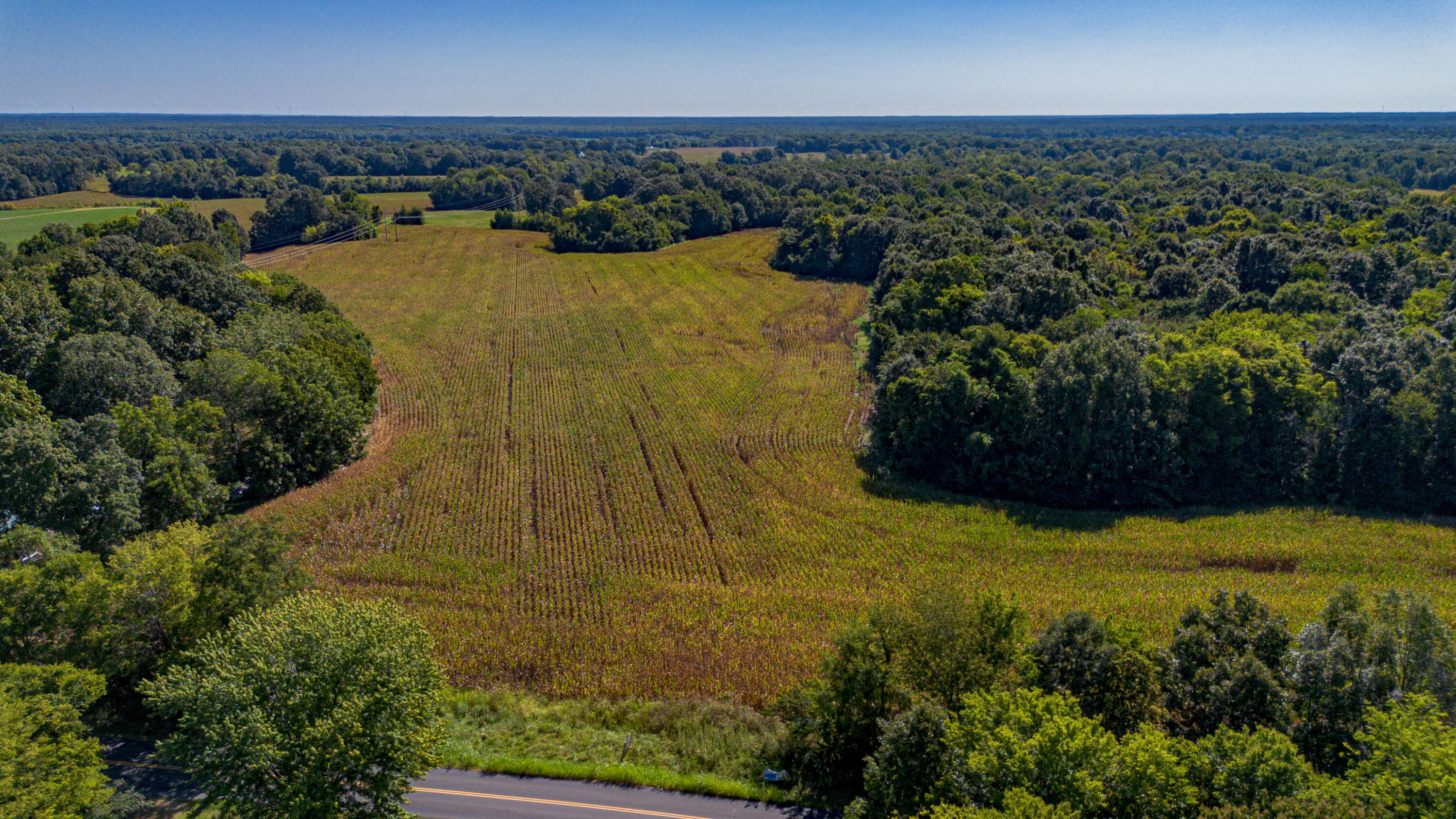 Land in Boaz 3