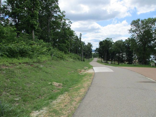 86 Adam Loop, Home with 0 bedrooms, 0 bathrooms and null parking in Bath Springs TN | Image 4