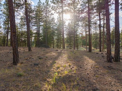 TBD Leaning Tree Ln, Clancy, MT, 59634 | Card Image