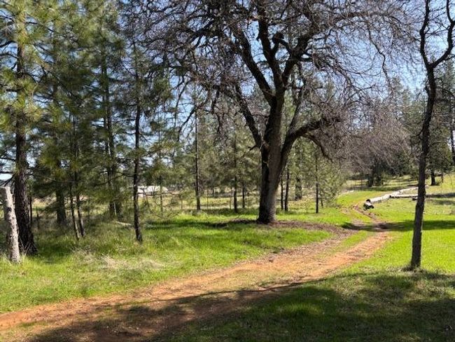 19292 Shawnee Trl, Home with 0 bedrooms, 0 bathrooms and null parking in Mokelumne Hill CA | Image 74