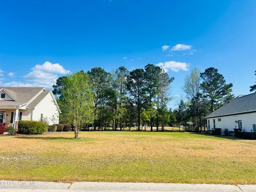 132 Falls Landing Way, Wallace, NC, 28466 | Card Image