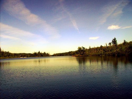 45 Joanne Langford Dr, French Road, NS, B1K3P9 | Card Image