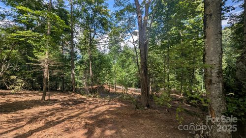 32-707 Apple Tree Ct, Waynesville, NC, 28786-1876 | Card Image