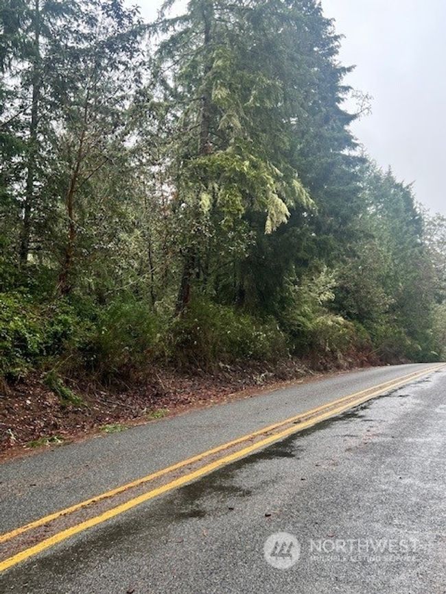 7515 Whiteman Road Sw, Home with 0 bedrooms, 0 bathrooms and null parking in Longbranch WA | Image 6