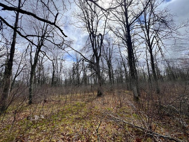62126 Tamarack River Rd, Home with 0 bedrooms, 0 bathrooms and null parking in SANDSTONE MN | Image 27