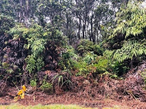 11-3820 1st St, VOLCANO, HI, 96785 | Card Image