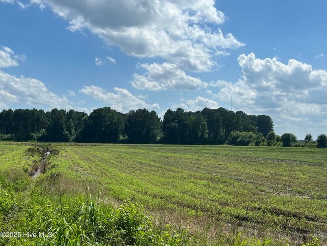 3 - 6639 Stokestown St John Rd, Home with 0 bedrooms, 0 bathrooms and null parking in Ayden NC | Image 7