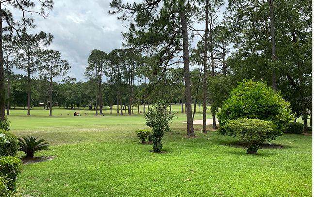 215 Nw Fairway Hills Gln, Condo with 2 bedrooms, 2 bathrooms and 2 parking in Lake City FL | Image 12