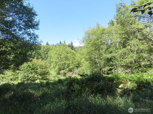 0 Salmon Creek Rd, Mossyrock, WA, 98564 | Card Image