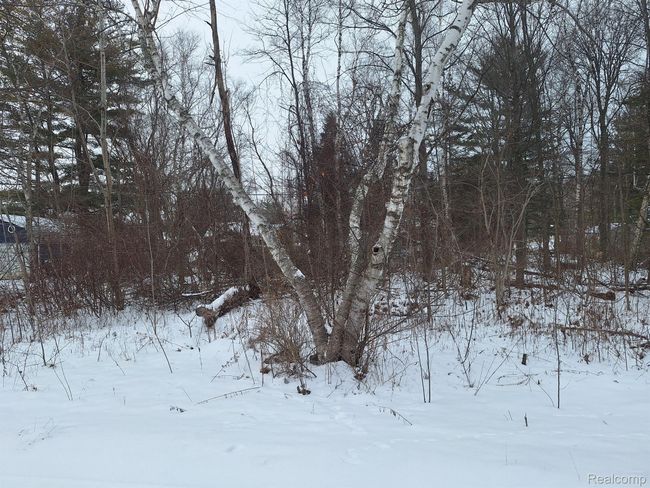 000 Birchwood Rd, Home with 0 bedrooms, 0 bathrooms and null parking in Lexington MI | Image 4