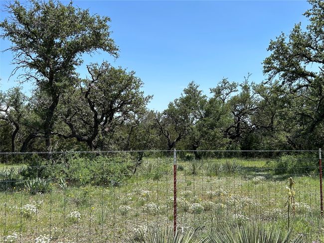 341 Fm 574 W, House other with 5 bedrooms, 3 bathrooms and null parking in Goldthwaite TX | Image 8