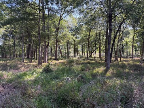 00 County Road 2195, Cleveland, TX, 77327 | Card Image