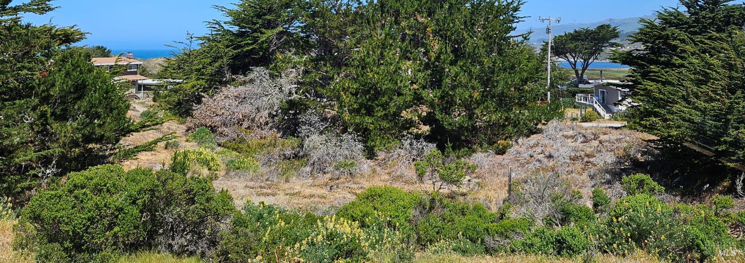 Land in Bodega Bay 5