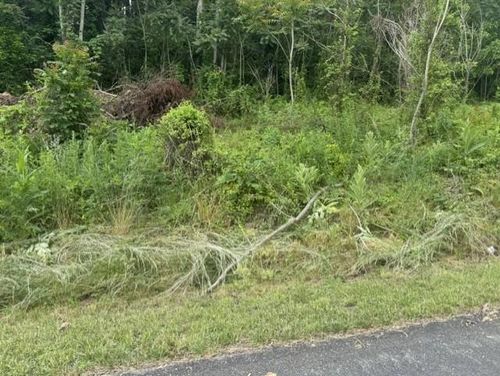 TBD Whispering Pines Rd., Max Meadows, VA, 24360 | Card Image