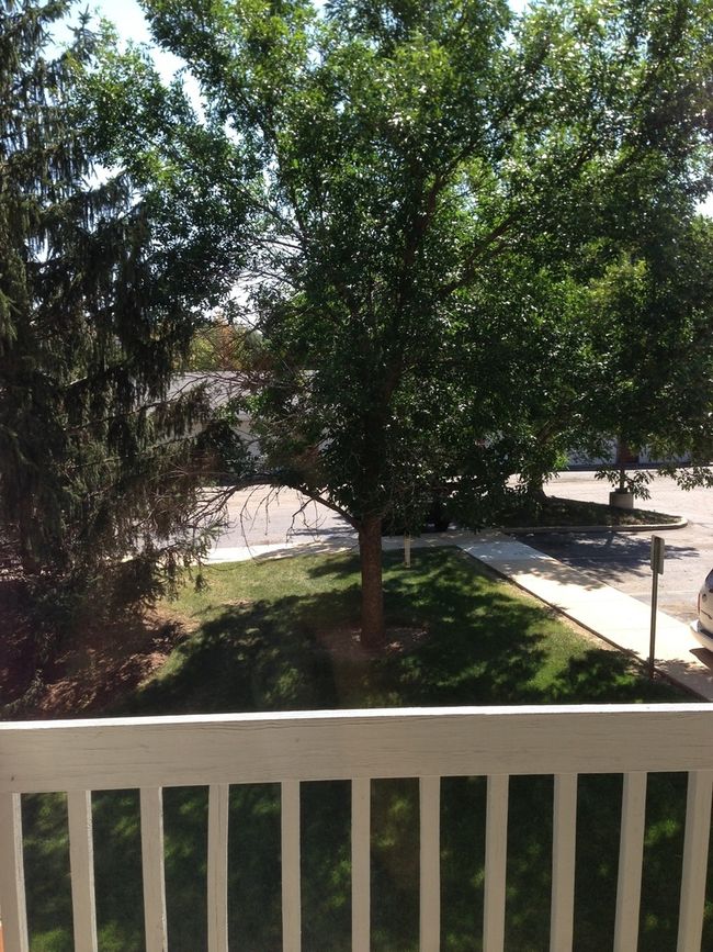 APT-2F - 4305 Shamrock Ln, Condo with 1 bedrooms, 1 bathrooms and 1 parking in McHenry IL | Image 4