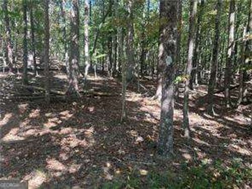 LT1352 Willow Ter, Jasper, GA, 30143 | Card Image
