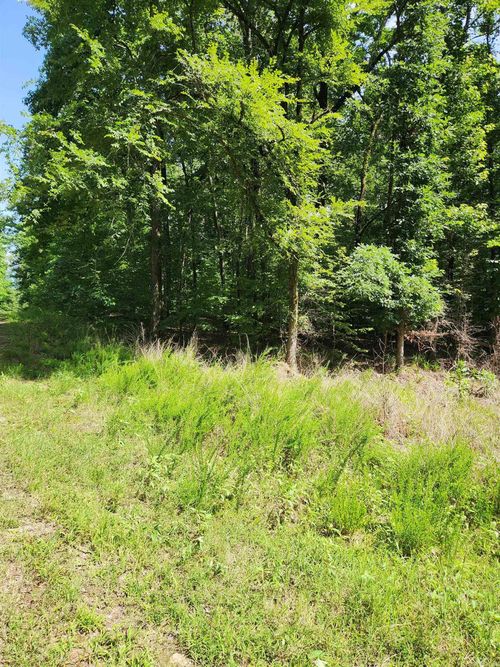 28 Edgemont Dr, Hot Springs, AR, 71913 | Card Image