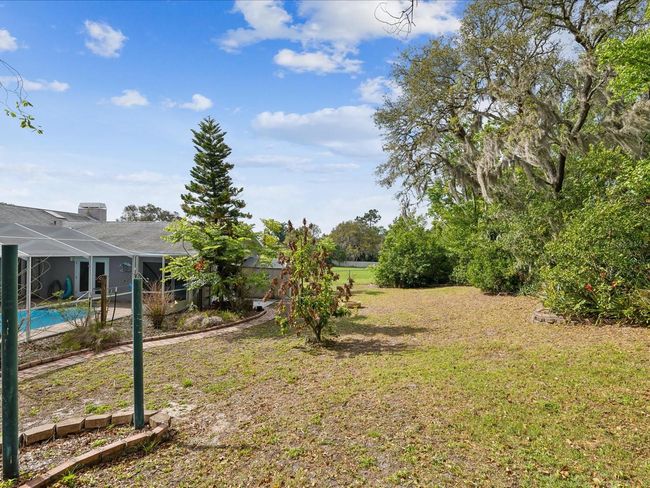 Back Yard | Image 47