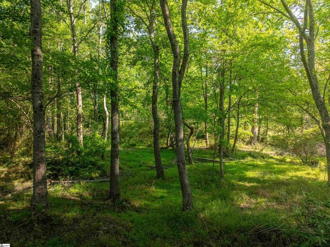 010 Holliday Dam Rd, Home with 0 bedrooms, 0 bathrooms and null parking in Honea Path SC | Image 7