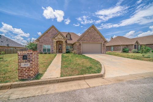 203 New Braunfels Ln, Hallsville, TX, 75650-9505 | Card Image