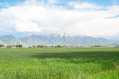 3445 W 5200 S, Spanish Fork, UT, 84660 | Card Image