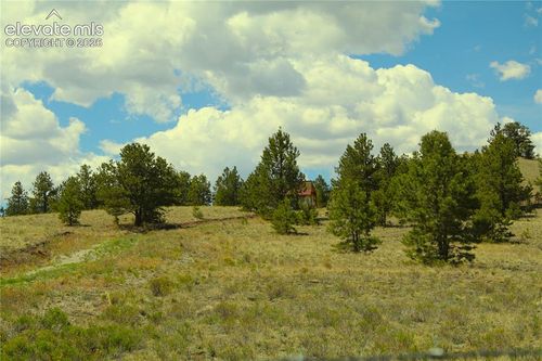 60 Hill Road, Hartsel, CO, 80449 | Card Image