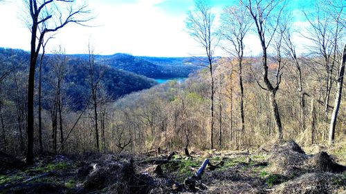 0 Lola Dr Lots 213 & 237, Smithville, TN, 37166 | Card Image