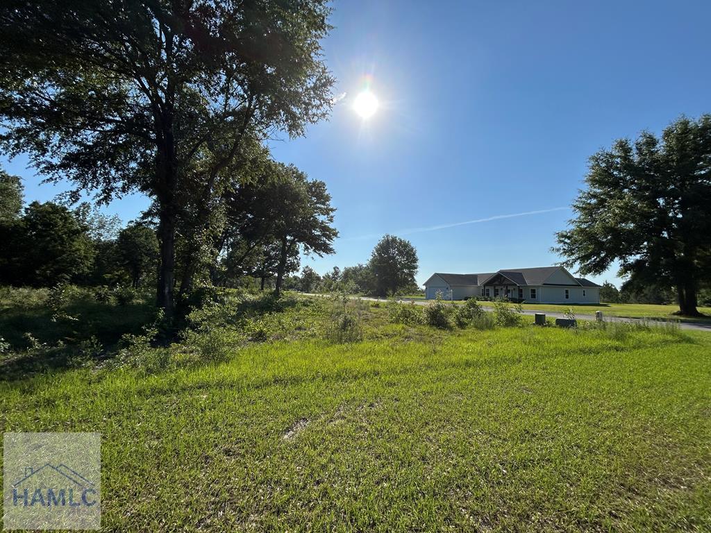 Land in Jesup 2