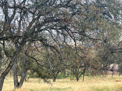 9520 Mercado Dr, La Grange, CA, 95329-9699 | Card Image