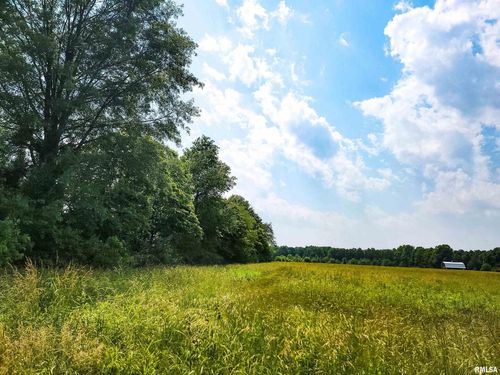 199 Hanging Rock Rd, Flora, IL, 62839-3609 | Card Image