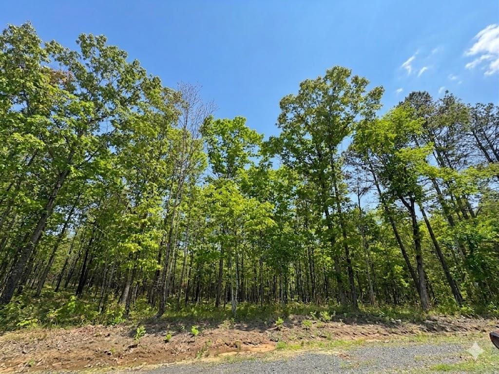 Land in Watson 4