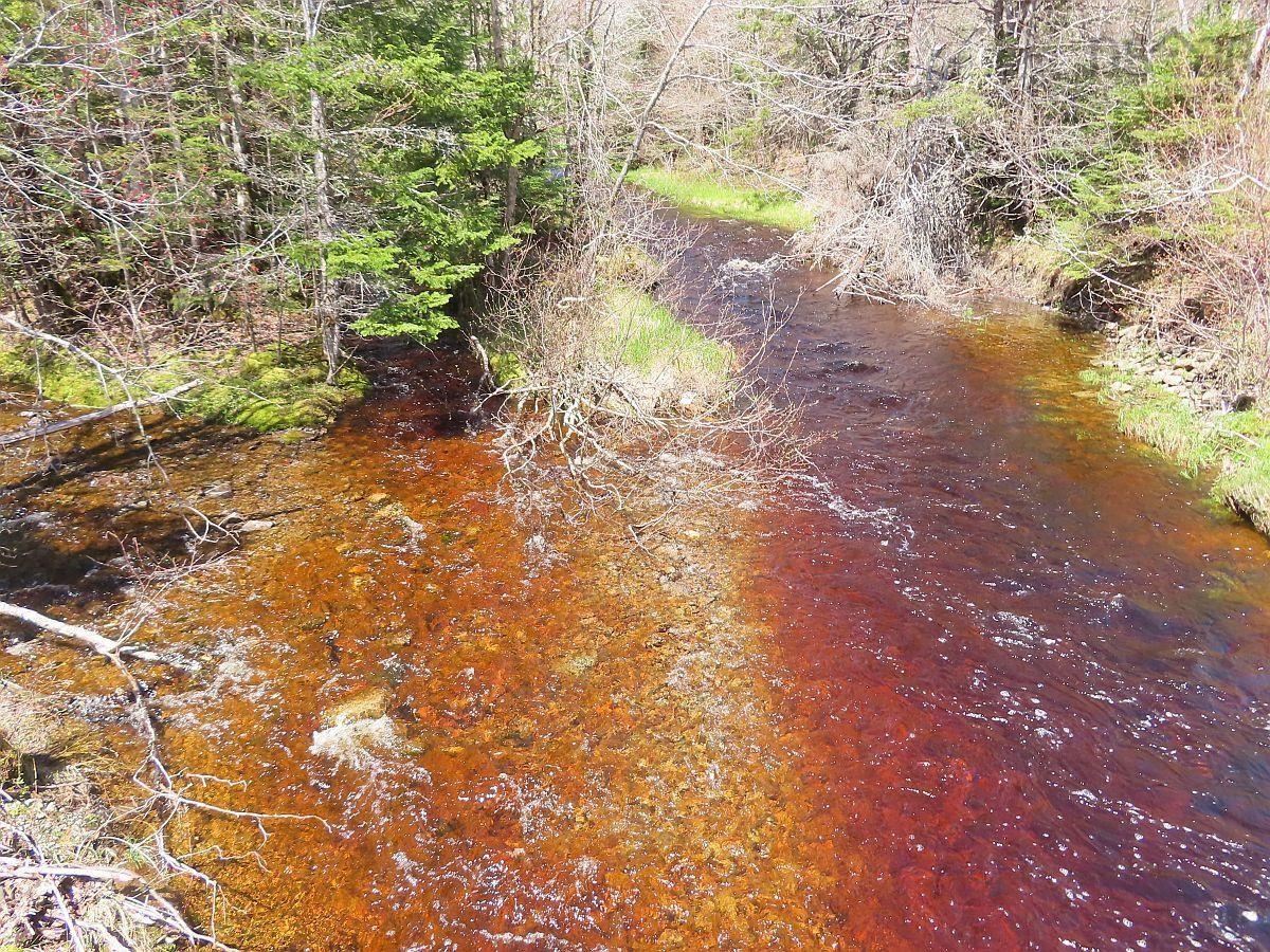 Land in West Side Country Harbour 2