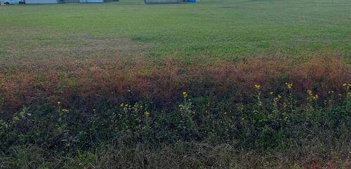 Lot 13 Roy St, Plattenville, LA, 70393 | Card Image