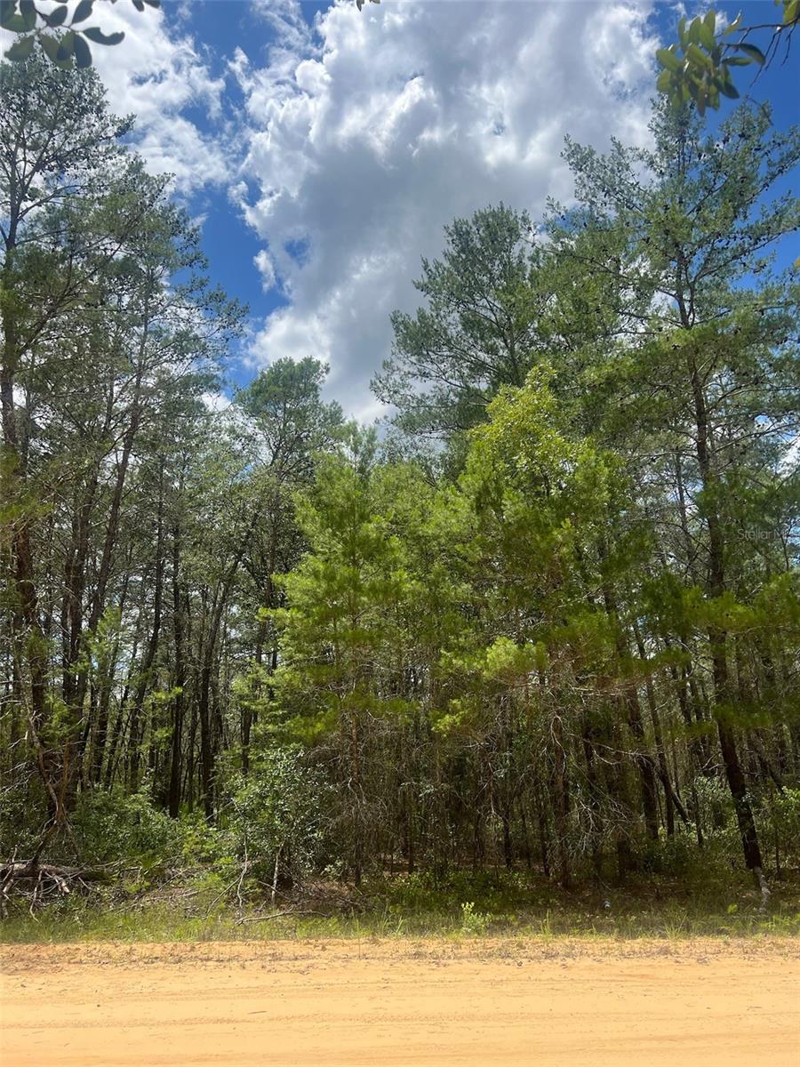 Land in INTERLACHEN 5