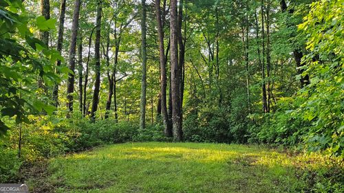 0 Lilly Lou Trl, Tiger, GA, 30576 | Card Image