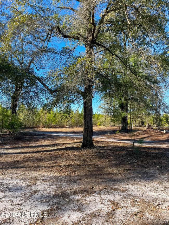 00 Sykes Town Rd, Home with 0 bedrooms, 0 bathrooms and null parking in Currie NC | Image 66