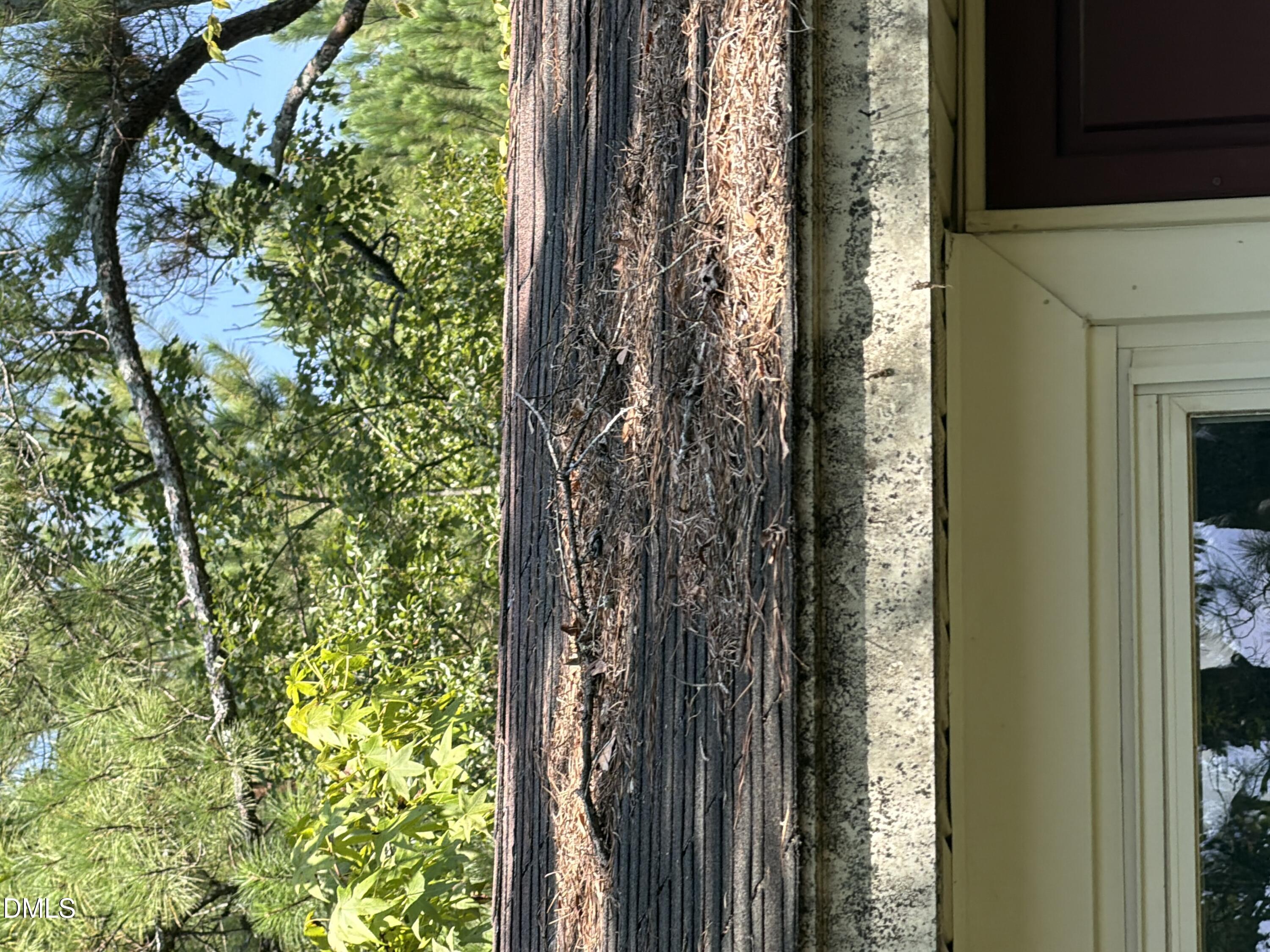 Residential in Fayetteville 5