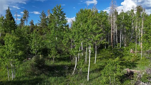 32965 Maverick Trl, Oak Creek, CO, 80467-8664 | Card Image