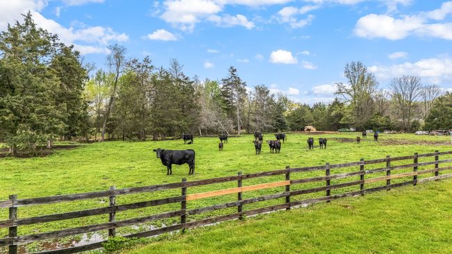 This mini-farm spans 15.76 acres and includes a creek, making it ideal for cattle or other livestock. It offers both charm and practicality in a serene countryside setting. | Image 17