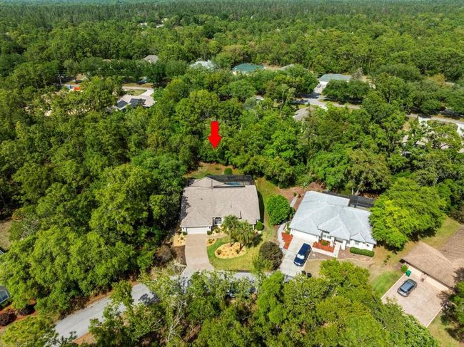 11 Nicotiana Ct, House other with 3 bedrooms, 2 bathrooms and null parking in Homosassa FL | Image 67