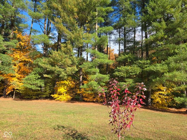 9695 Houston Rd, House other with 3 bedrooms, 3 bathrooms and null parking in Freetown IN | Image 53
