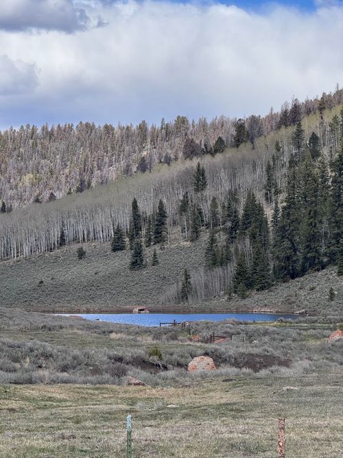TBD Cardwell Draw Road, Powderhorn, CO, 81243 | Card Image