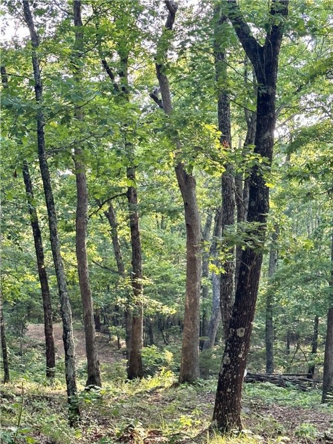 11 Slaty Gap Road, Home with 0 bedrooms, 0 bathrooms and null parking in West Fork AR | Image 14