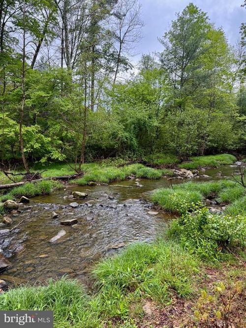 Lots 1 &amp; 2 Trout Run Road, WARDENSVILLE, WV, 26851 | Card Image
