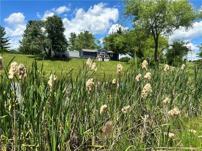 View of yard | Image 2